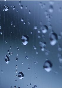 5318AABF-8CEA-4FF2-B27D-40E051CEF5C1